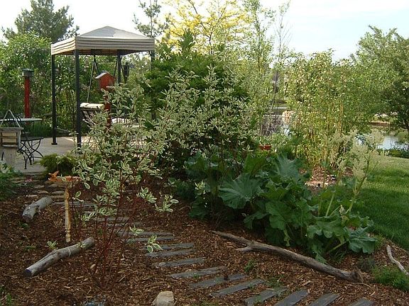 Garden/patio off back of house