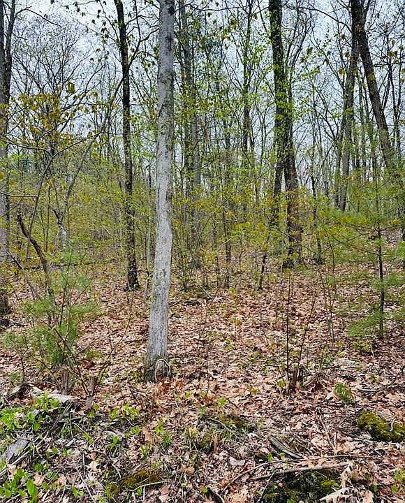 2nd image of 48 Mill Rd Lot 2E