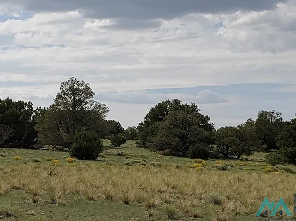 Deer Cir, Quemado, NM 87829