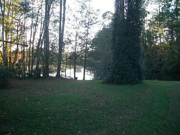 view from backyard
