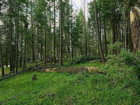 4th image of Chipmunk Ln