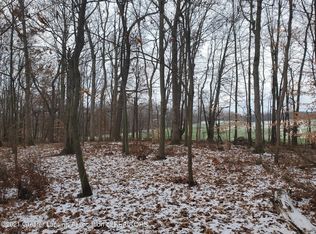 0 Pepper Ln, Onondaga, MI 49264