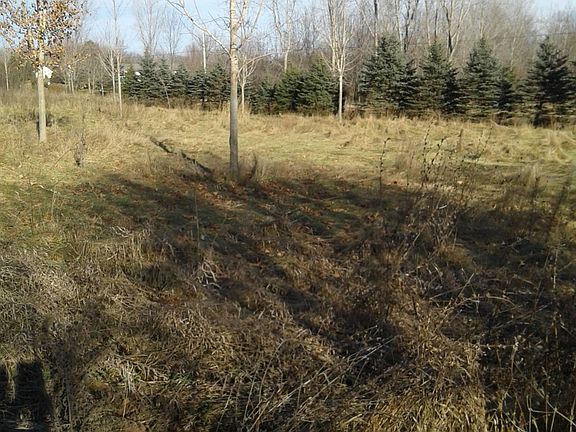 4th image of 4309 Jenks Hwy