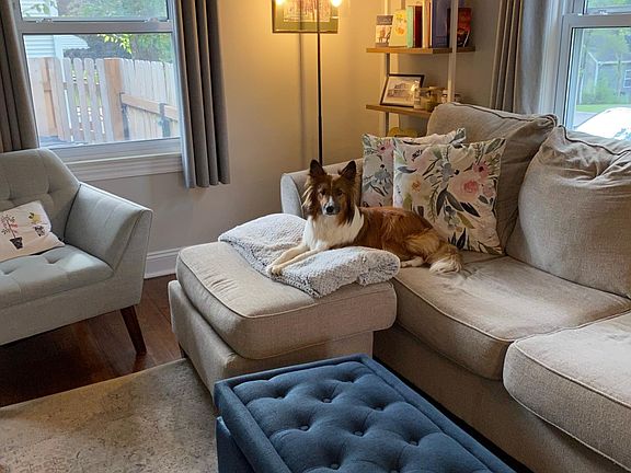Living Room (dog not included)