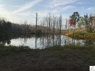 11118 Mirbat Rd, Floodwood, MN 55736