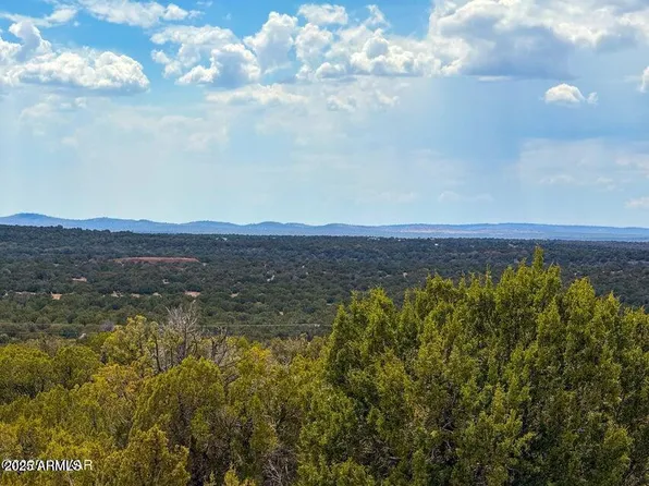 0 Weber Rd Lot #B 5 Acres -- #-, Show Low, AZ 85901