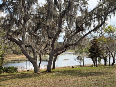 17549 SEIDNER ROAD, Winter Garden, FL, 34787