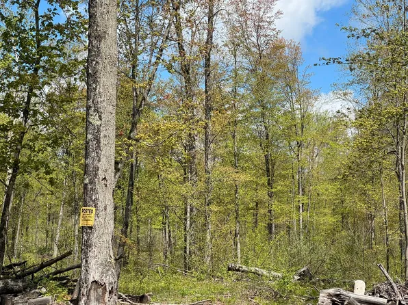 230th Ave, Big Rapids, MI 49307