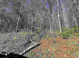 0 Raven Branch Rd, Hartford, TN 37753