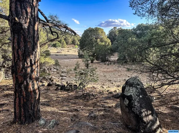 Linda Rd, Silver City, NM 88061