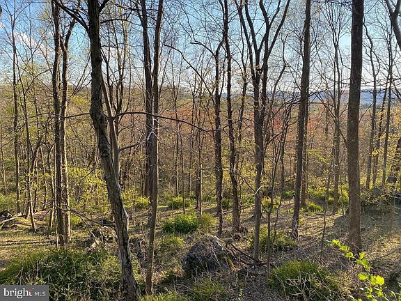 4th image of 12509 Stottlemyer Rd