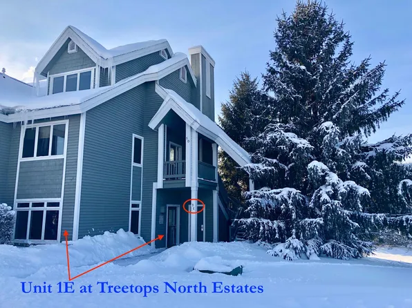 4714 Fazio Dr #1E, Gaylord, MI 49735