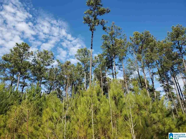 0.1 Gould Rd #2, Columbiana, AL 35051