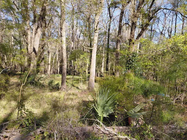 2 & 3 Gator Cv, Ridgeville, SC 29472