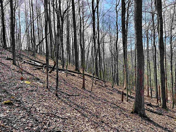 5th image of 1251 County Highway 40 Rd #11