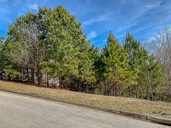 4th image of 4887 Basingstoke Dr Lot 0