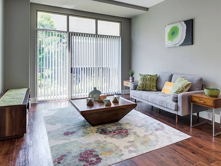 Living Room with Natural Light