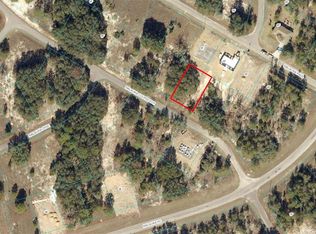 0 Malauka Course Ter #4, Ocklawaha, FL 32179