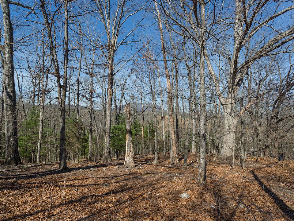 2nd image of LOT 2 Forest Hill View
