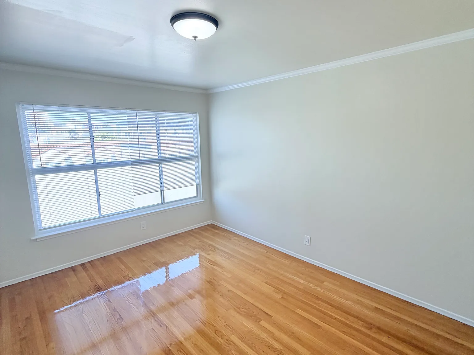 2 bed, 1000 sqft, $5,400 — Photo 4