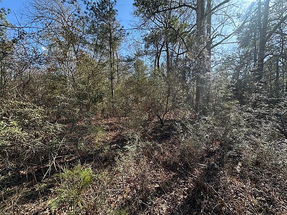 4th image of 123 Oakwood Dr