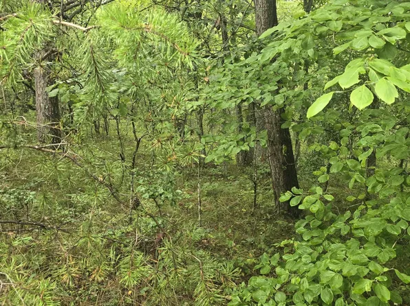 423 Saint George Dr, Crossville, TN 38558