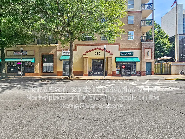 230 E Ponce De Leon Ave #226 — Photo 3