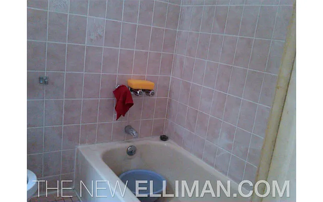 Rented by Douglas Elliman | media 7