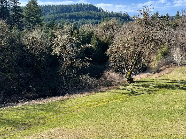 561 Paradise Creek Rd — Photo 14
