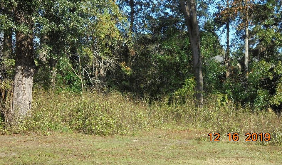 2nd image of 111 Moss Trl