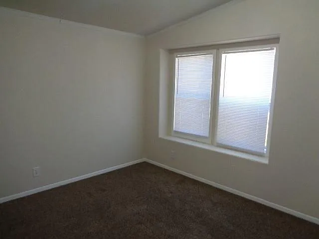 10131 Berrybriar Ln — Photo 7