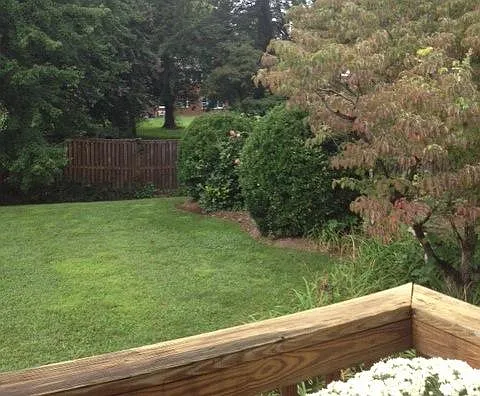 4 bed, 2.5 bath, 2700 sqft, $3,975 — Photo 2