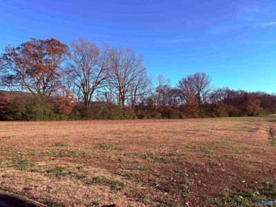 160 Plantation Park Ln, Scottsboro, AL, 35768
