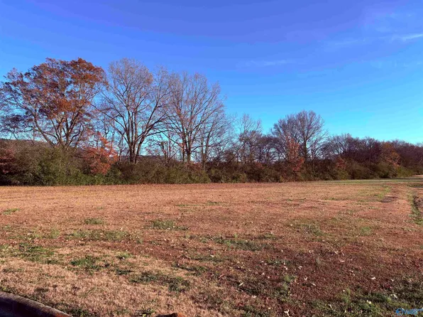 160 Plantation Park Ln, Scottsboro, AL 35768