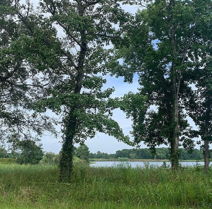 1st image of 45.22 Ac Atlantic Breeze Dr. #CAMELLIA STATION