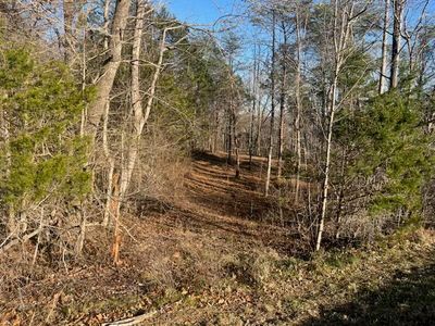 3111 Sulphur Creek Rd, Burkesville, KY, 42717