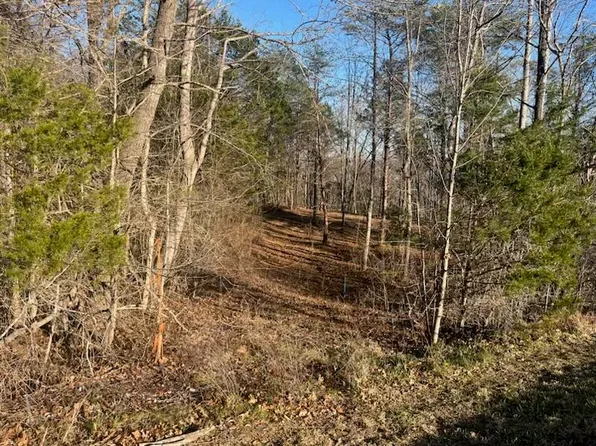 3111 Sulphur Creek Rd, Burkesville, KY 42717