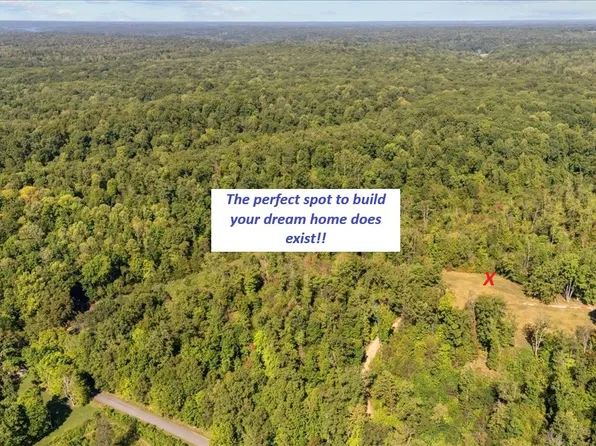 0 Spring Ck Rd, Waverly, TN 37185