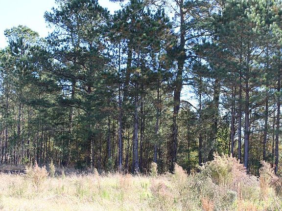 4th image of 320 Jeff White Road LOT 1