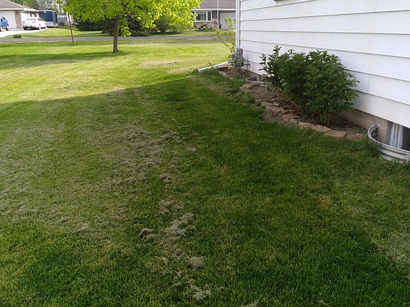 3rd image of W193 Belleview Ave