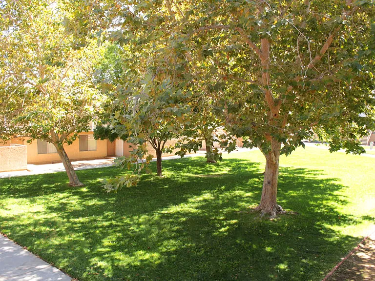 Hesperia Regency Apartments — Photo 17