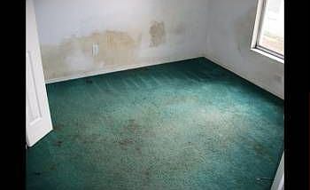 5th image of 3442 Lake Tiny Cir