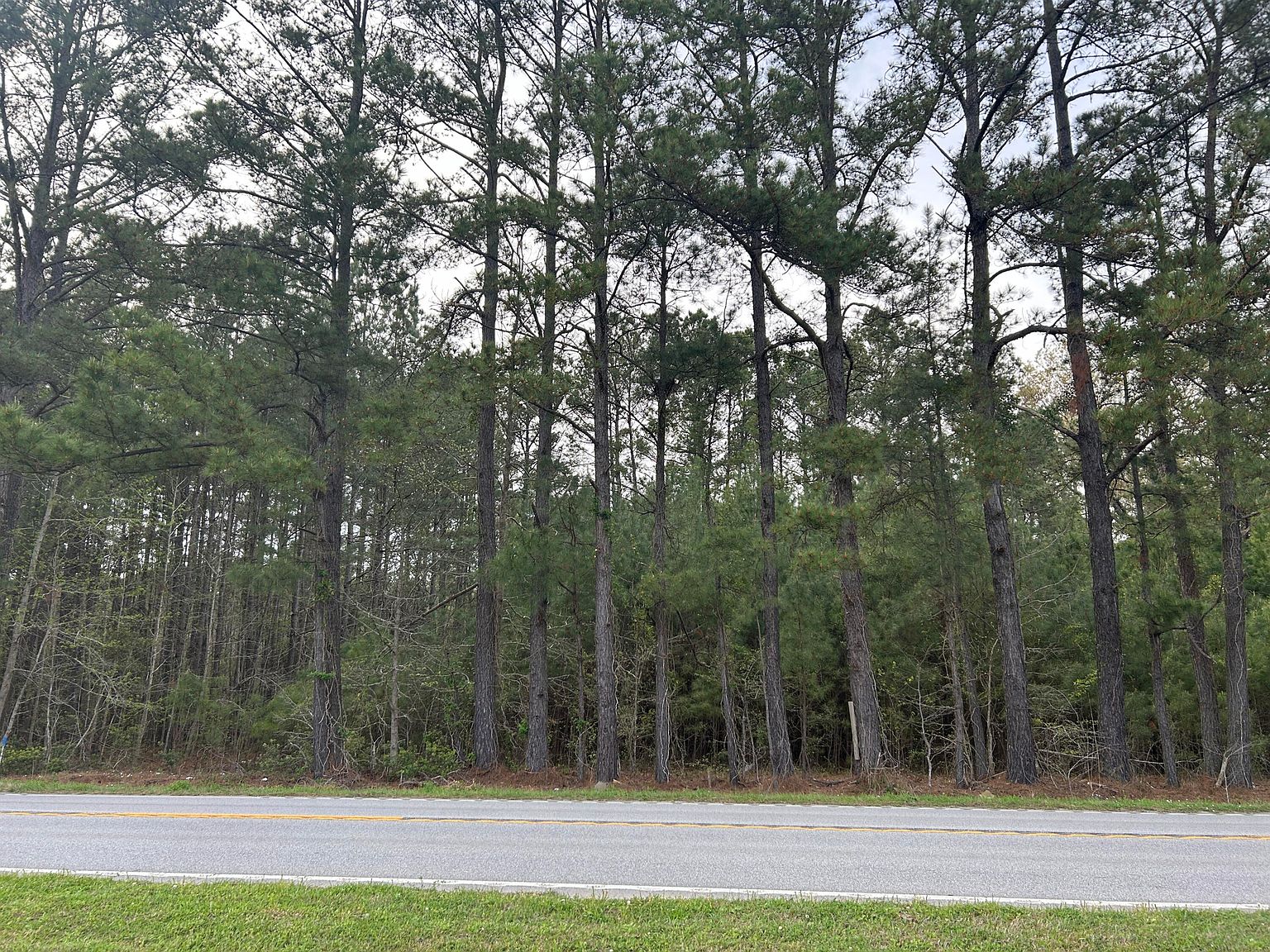 0 Givhans Rd, Ridgeville, SC 29472 MLS 24008562 Zillow