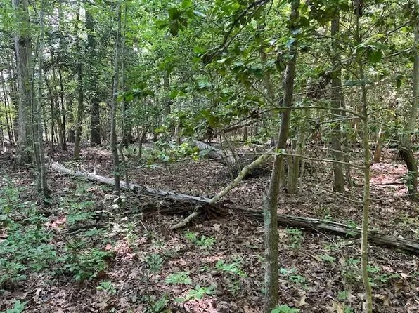 End Of Lawler Ln, Kilmarnock, VA 22482