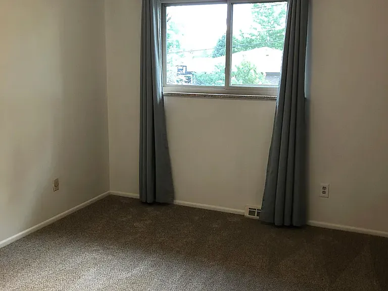 225 S Locust St — Photo 17