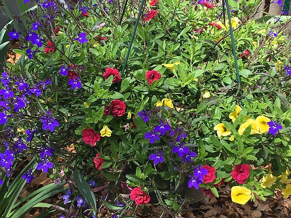 Great gardens