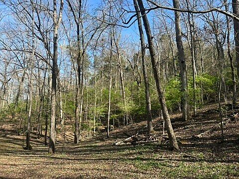 2nd image of 4921 Gann Store Rd