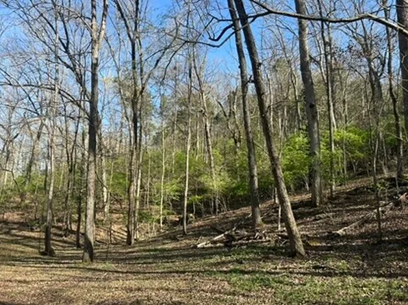 4897 Gann Store Rd, Hixson, TN 37343