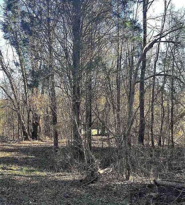 2nd image of 5955 Woodsdale Rd