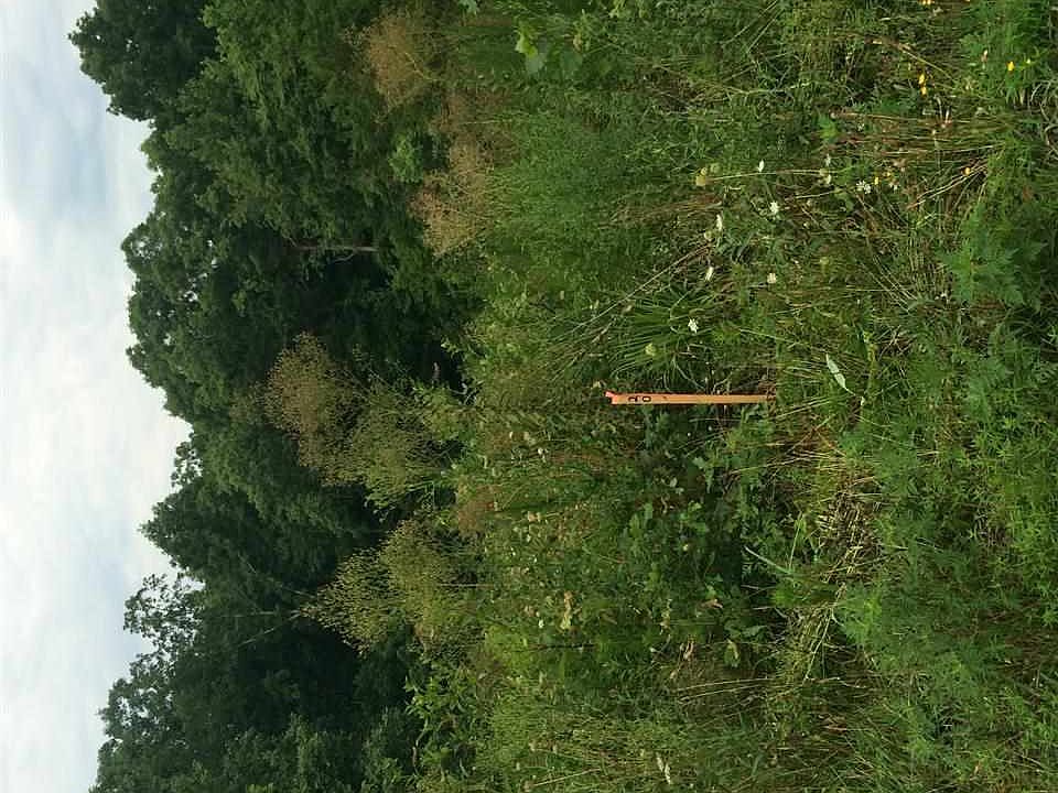 2nd image of 20 Lyle Dr